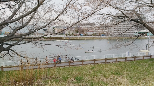 公園が近いシニア向け賃貸5