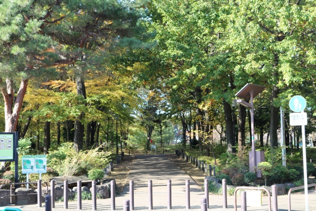 公園が近いシニア向け賃貸7