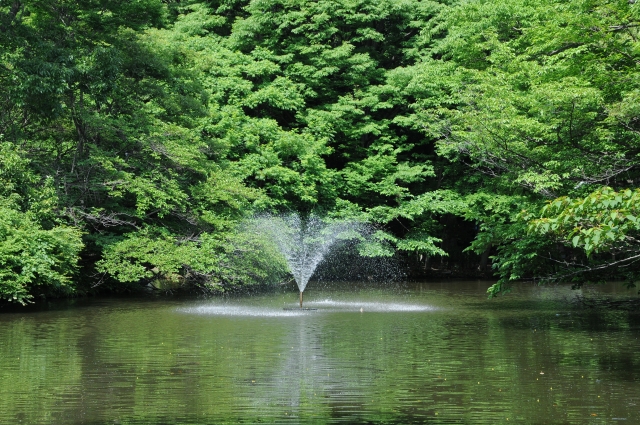 公園が近いシニア向け賃貸6