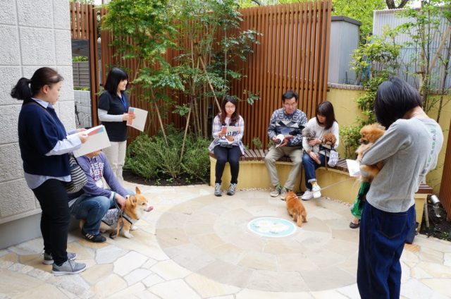 ペットと暮らせるシニア向け賃貸・共生型物件の特徴