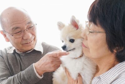 東京神奈川のペット共生型賃貸特集