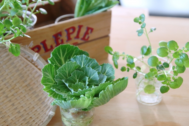 大人の趣味スペース