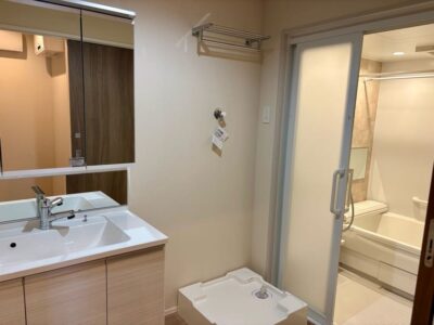 ヘーベルVillageひばりが丘洗面所